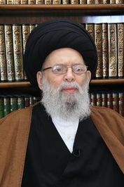 السيد محمد حسين فضل الله