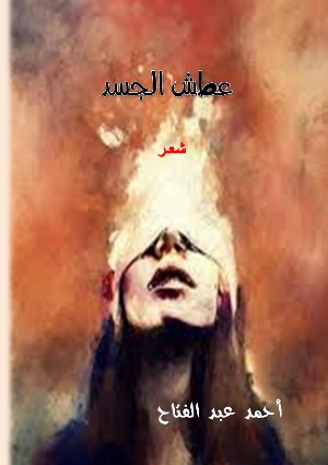 كتاب أحمد عبد الفتاح